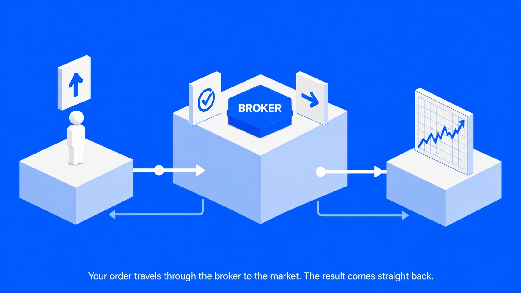 How do Brokers Operate in Financial Markets?