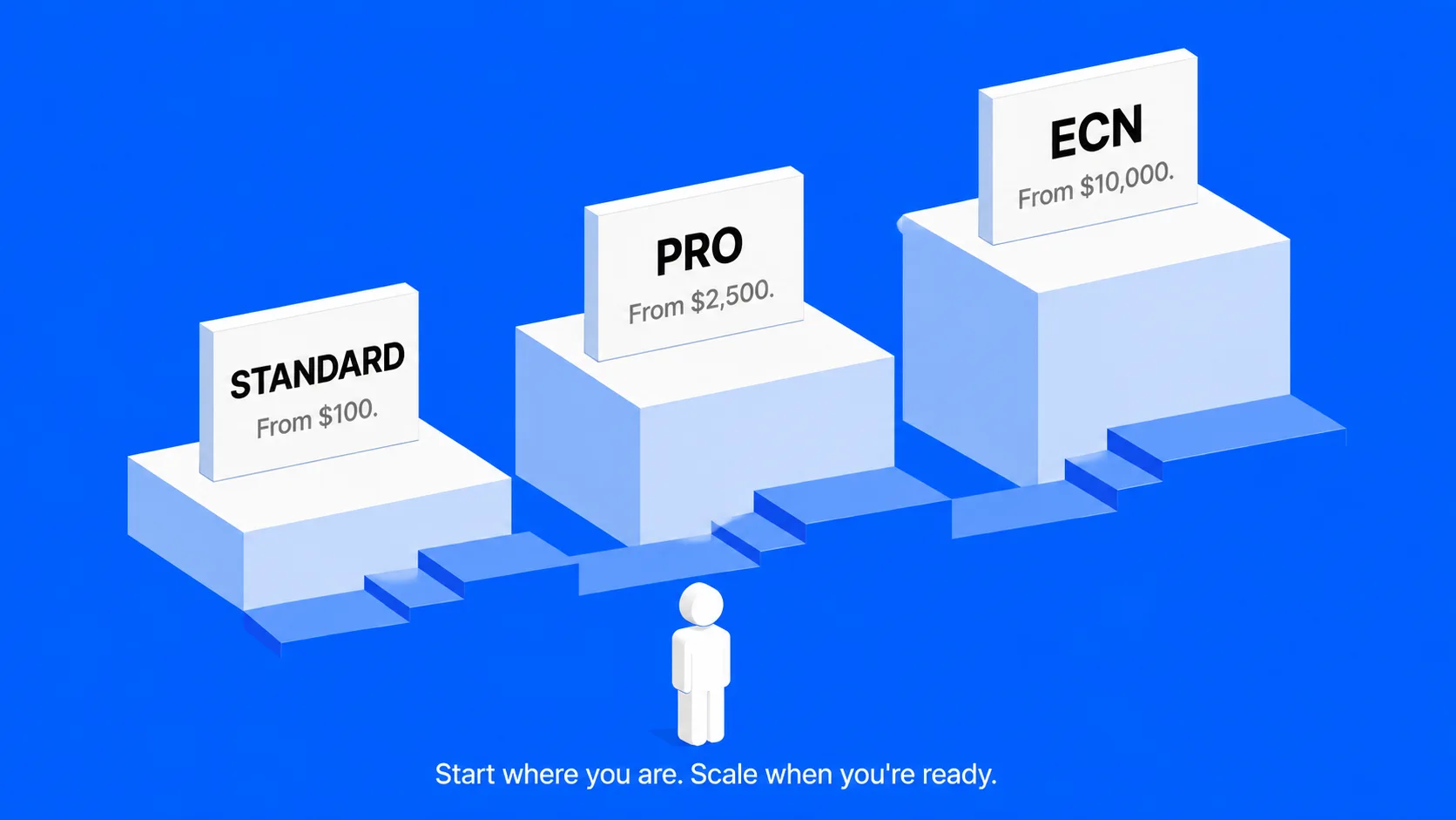 Step 2 – Choose Your Trading Account (Standard, Pro, or ECN) 