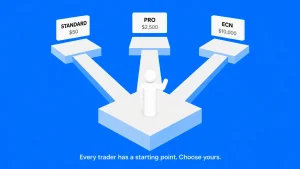 Trading Account Types Hero