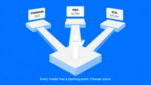 Trading Account Types2